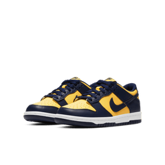 Big Kids' Nike Dunk Low "Michigan"