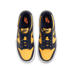 Big Kids' Nike Dunk Low "Michigan"