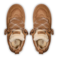UGG Lowmel Trainer Chestnut (W)