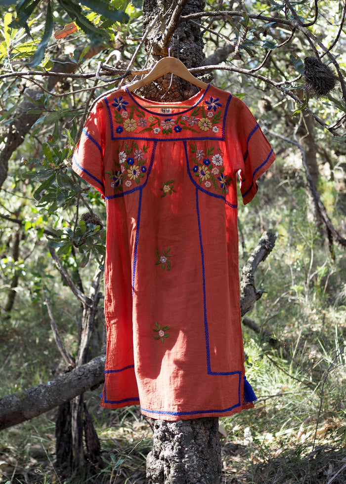 Romina Mini Dress in Rust